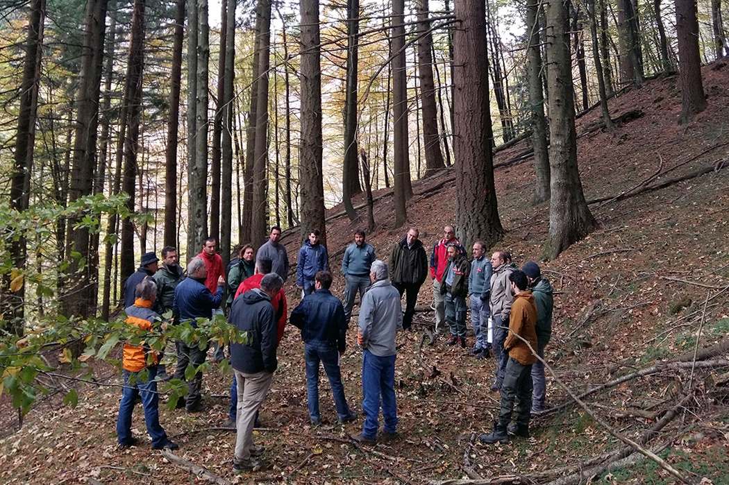 Visita alle aree dimostrative casentinesi